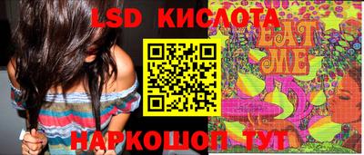 шишки Дмитров