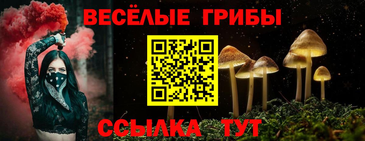 Псилоцибиновые грибы Magic Shrooms Дербент
